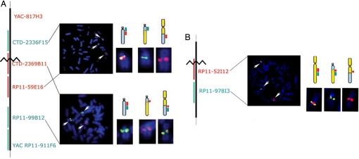 Fig. 3.