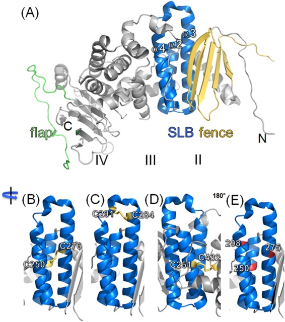 FIG 1