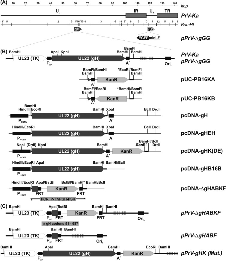 FIG 2