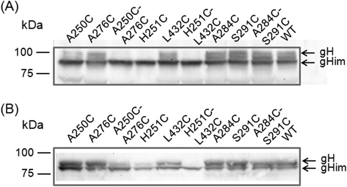 FIG 3