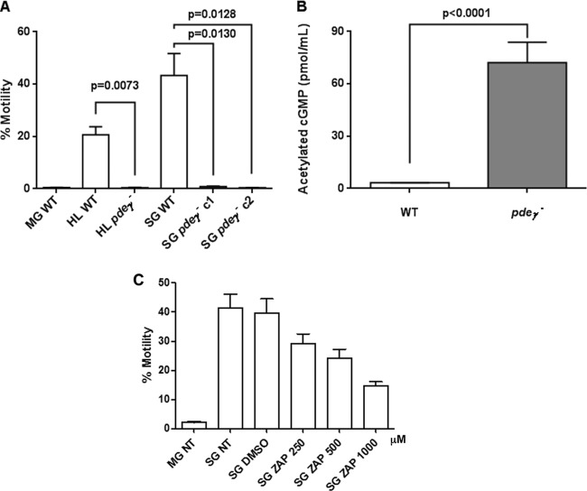 FIG 4 