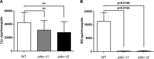 FIG 3 