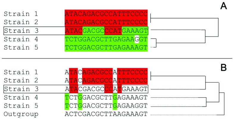 Fig. (2)