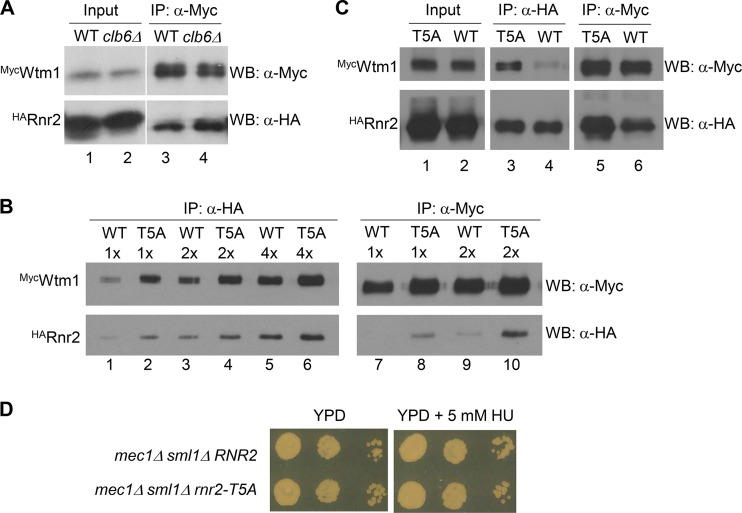 FIG 6