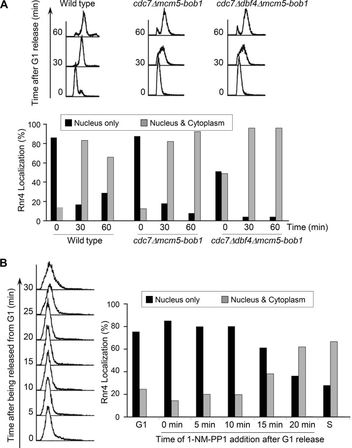 FIG 2