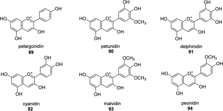 Fig. 13