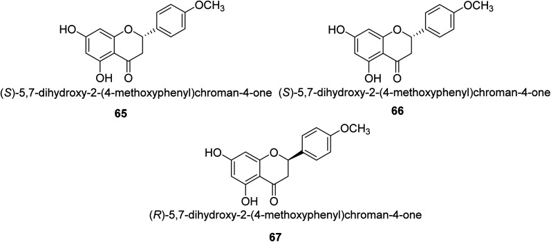 Fig. 9