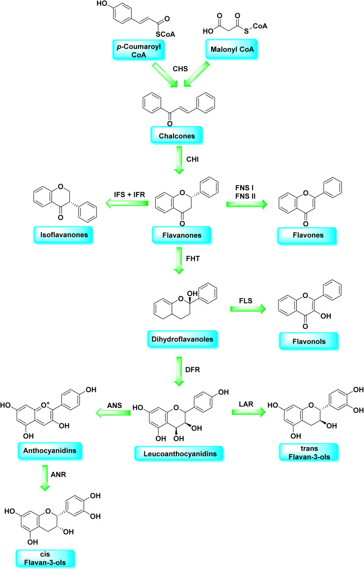 Scheme 2