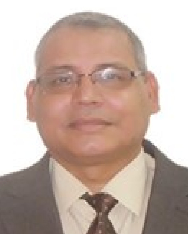 Saleh A. Ahmed