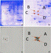 Figure 12.