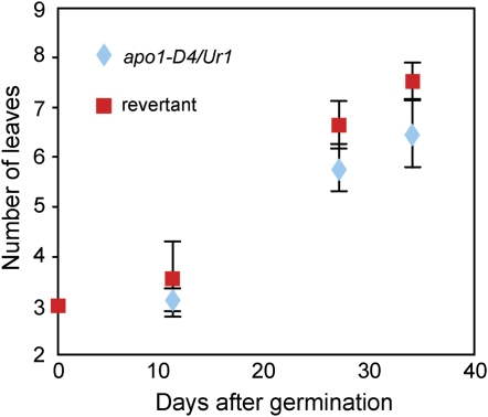 Figure 5.