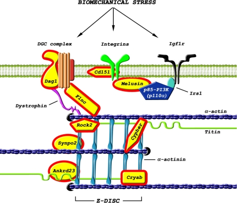 FIGURE 6.