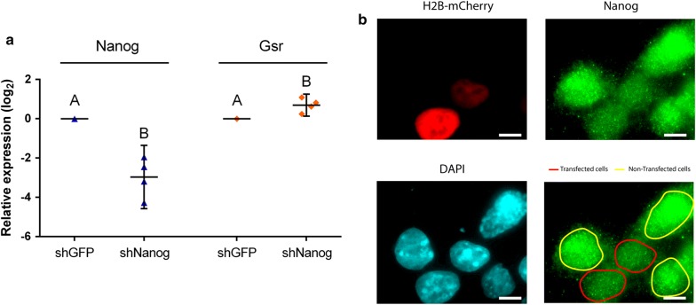 Fig. 3