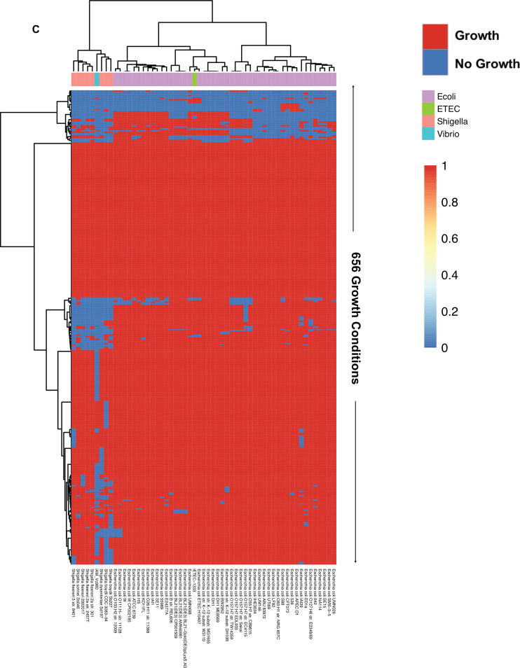 FIG 3