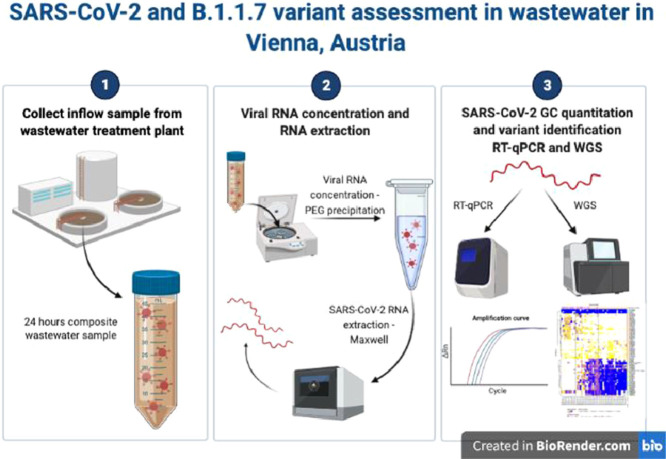 Image, graphical abstract