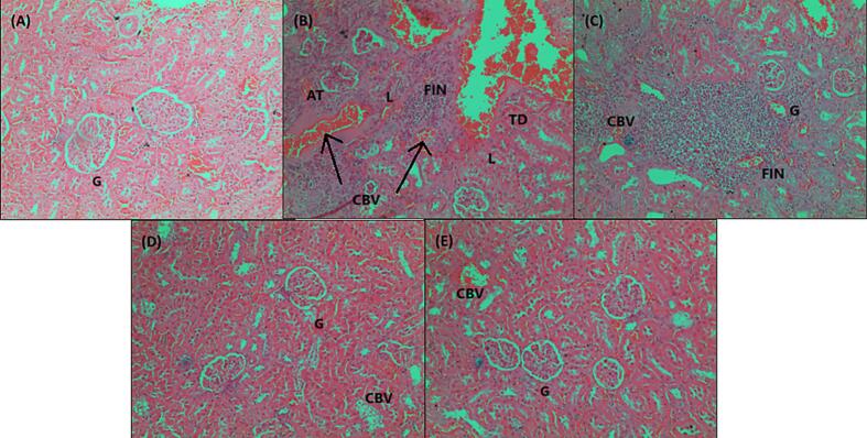 Fig. 6