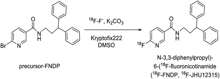 FIGURE 1.