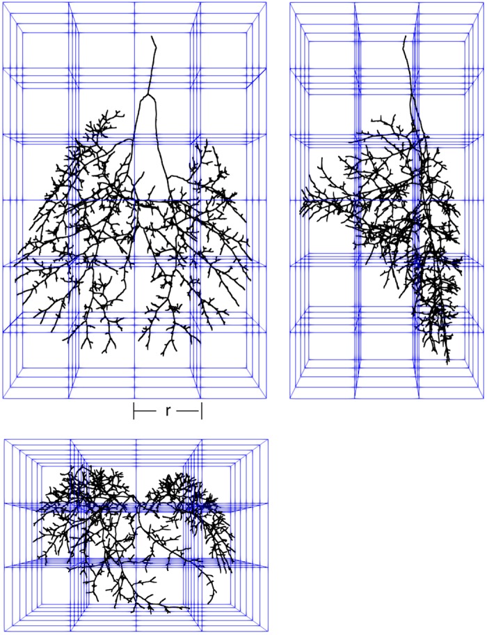 Fig. 2.