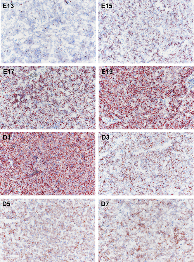 Figure 2