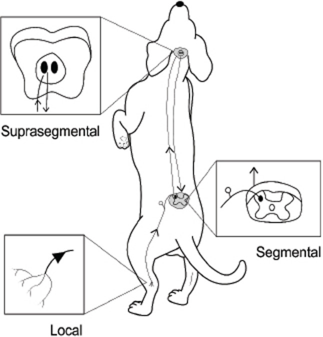 Fig. 3.