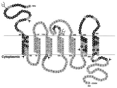 FIG. 7