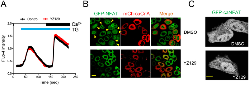 Figure 4.