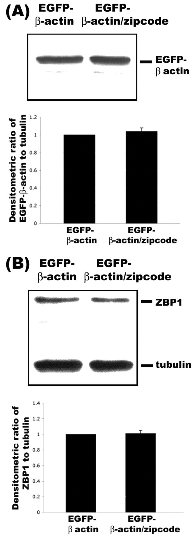 Figure 9.