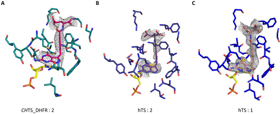 Figure:1