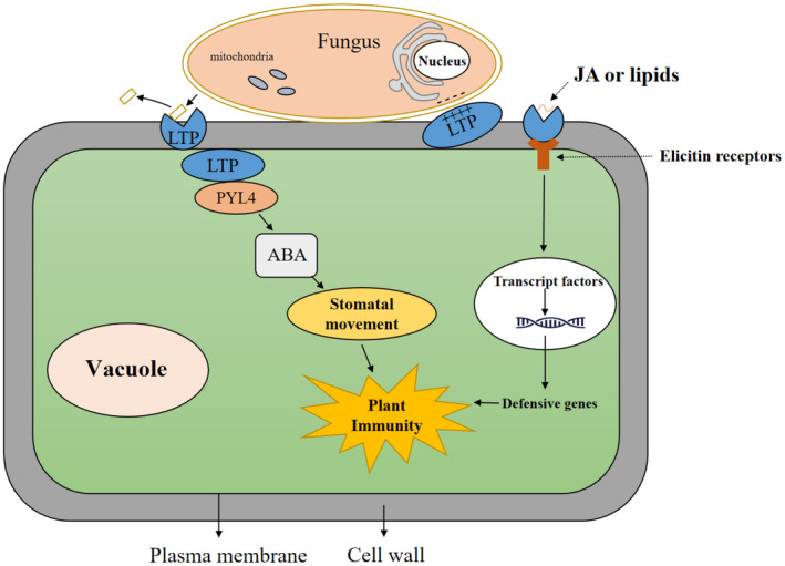 FIGURE 3