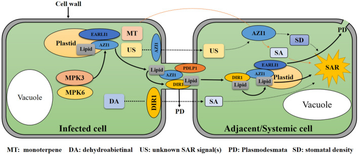 FIGURE 2