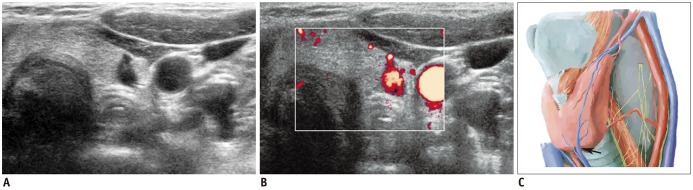 Fig. 9