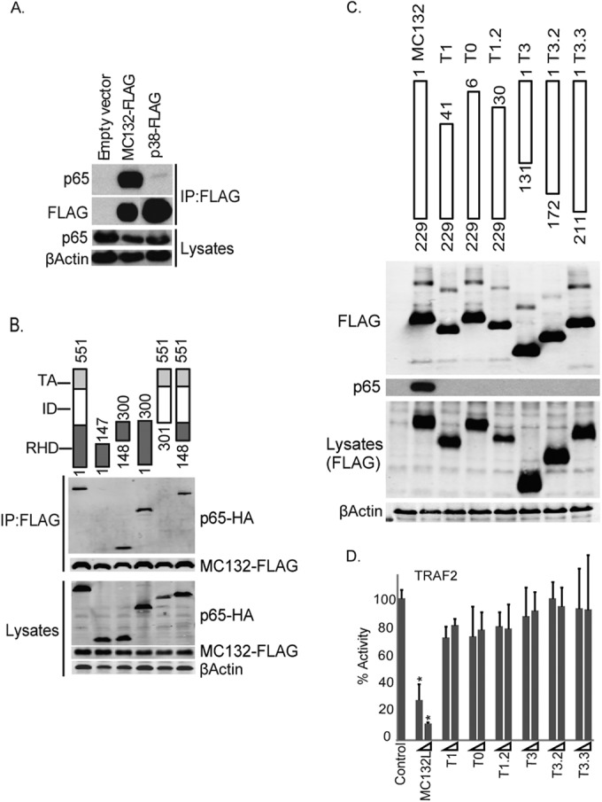 FIG 6