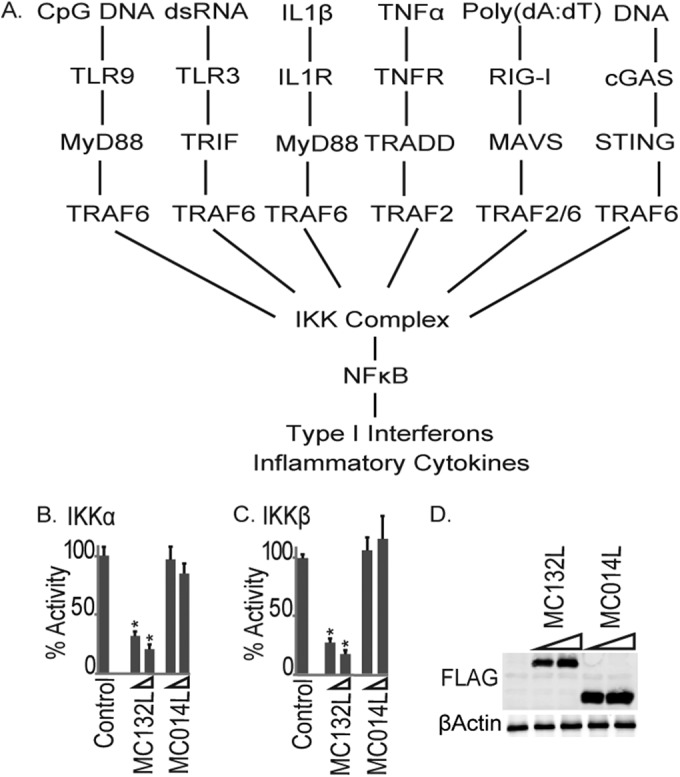 FIG 4