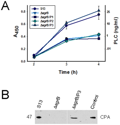 Figure 7