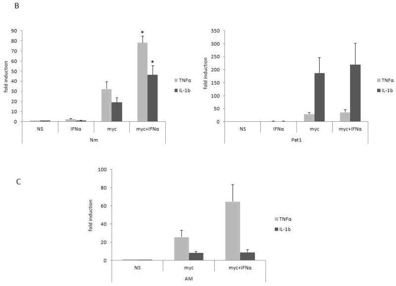 Figure 5