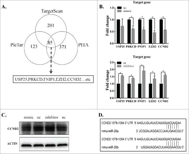 Figure 5.