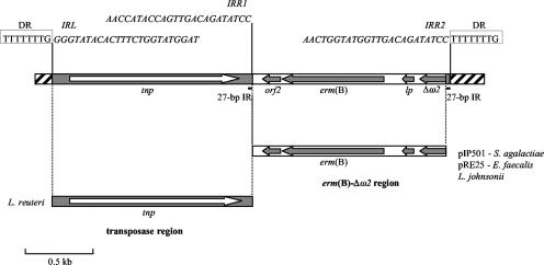 FIG. 1.