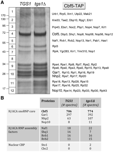 Figure 5.