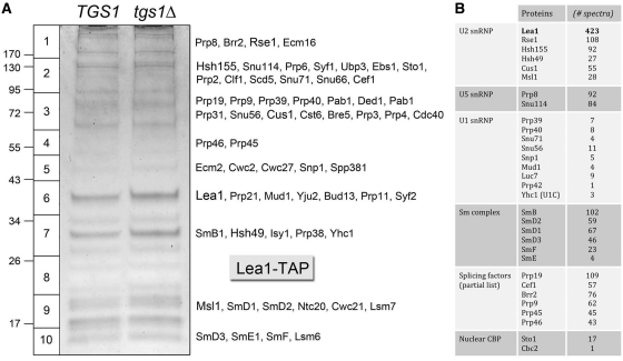 Figure 3.