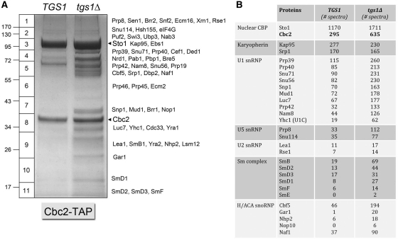 Figure 6.