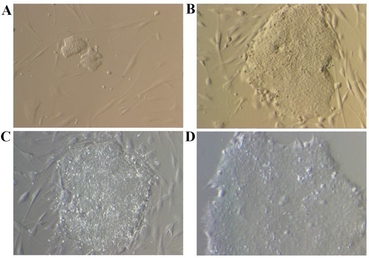 Figure 3.