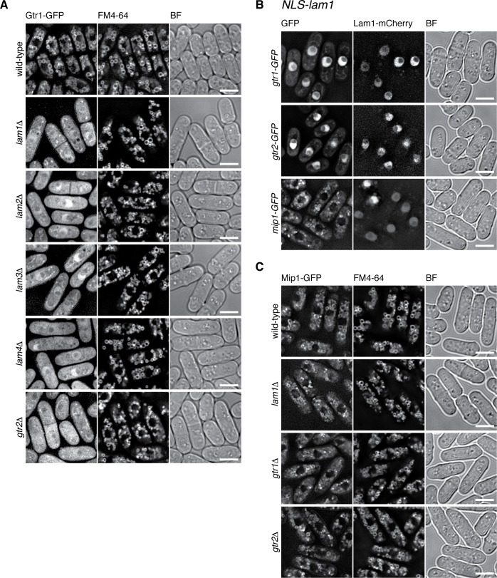 Figure 3.