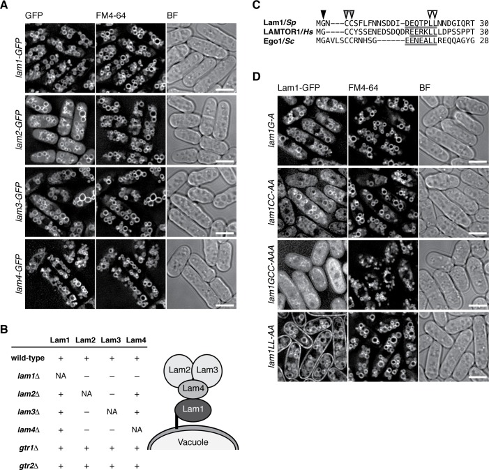 Figure 2.