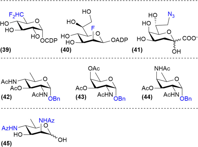 Fig. 6