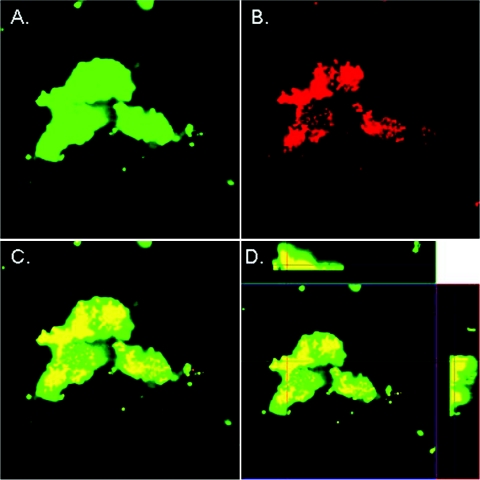 FIG. 4.