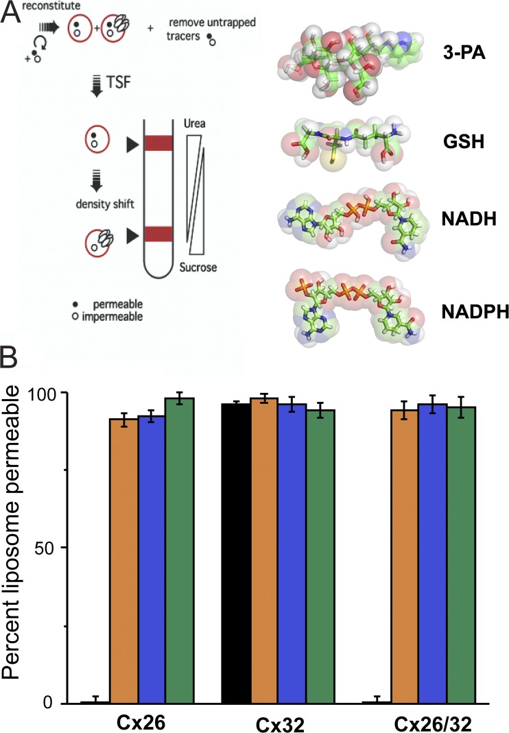 Figure 5.