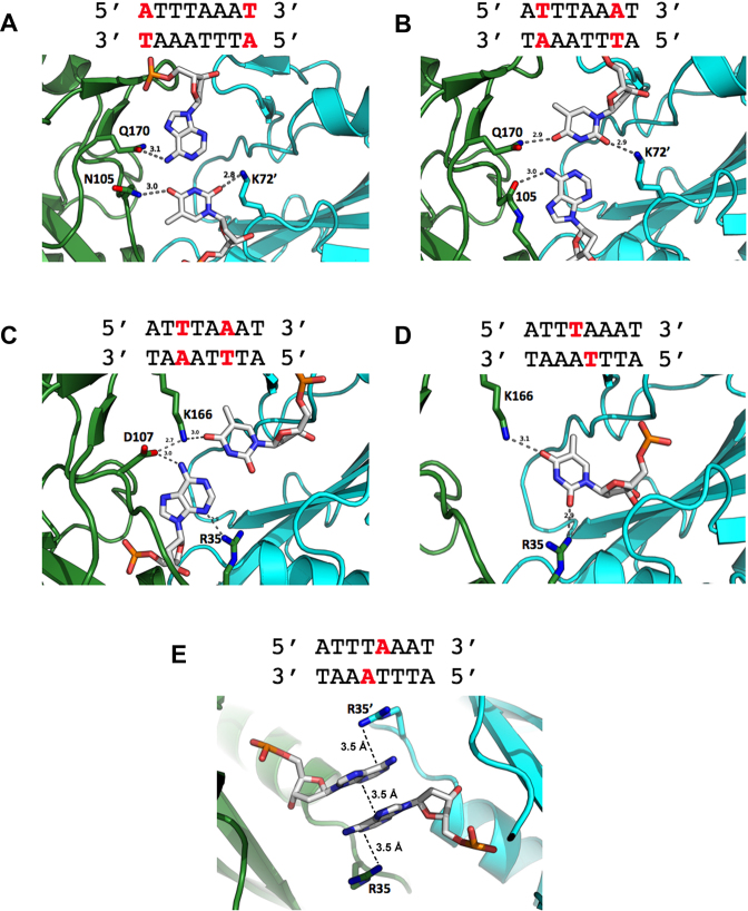 Figure 5.