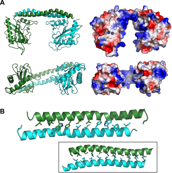 Figure 2.