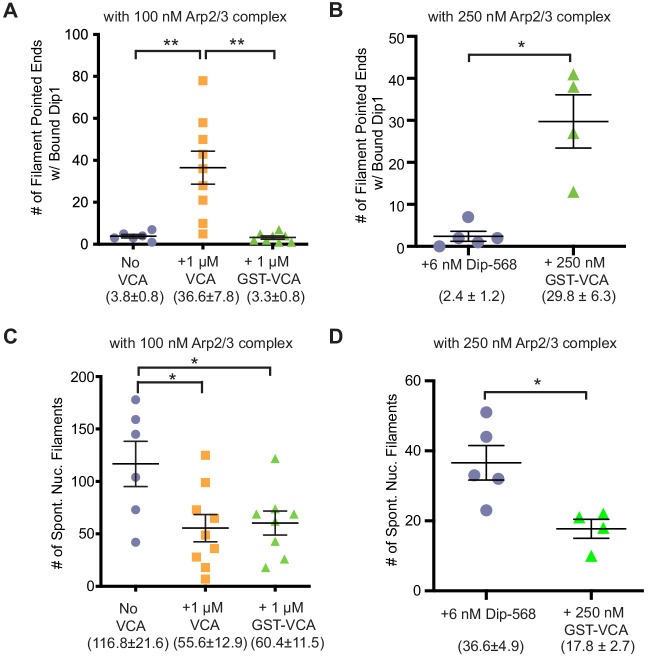 Figure 2—figure supplement 1.