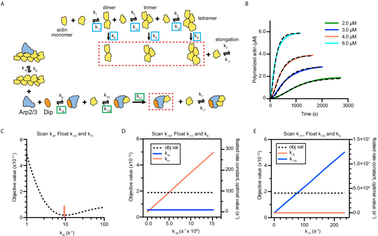 Figure 3—figure supplement 2.